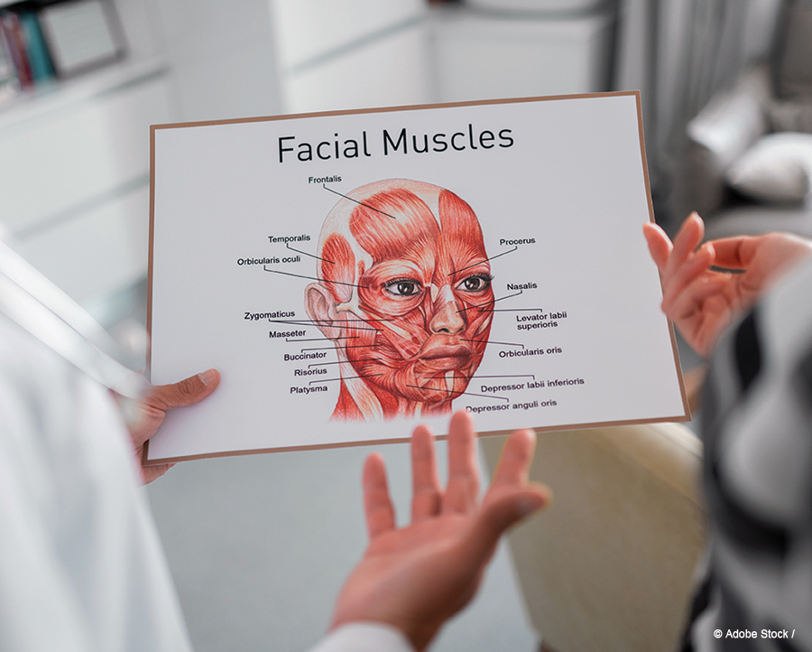 chart of facial muscles being held by white doctor