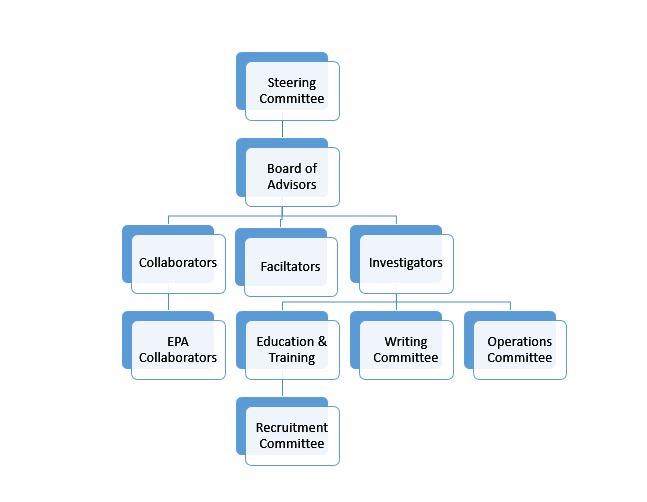 Clinic Organizational Chart Hot Sex Picture 4574