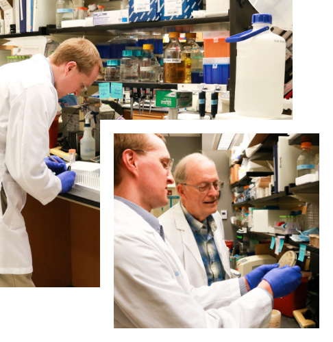 Two research images of doctors working in a lab.