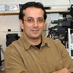 Dr. Troy Ghashghaei