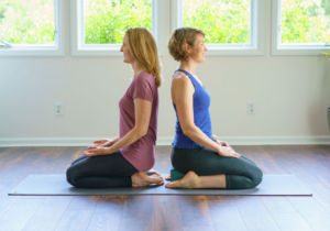 Chapel Hill Yoga Teacher Training - Balance Through Movement